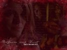 IMG/jpg/buffy-and-angel-cast-wallpapers-367-2.jpg