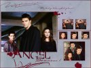 IMG/jpg/buffy-and-angel-cast-wallpapers-by-black-rose-04.jpg