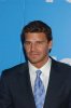 IMG/jpg/david-boreanaz-2007-fox-programming-presentation-mq-05.jpg