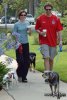 IMG/jpg/alyson-hannigan-alexis-denisof-dogs-coffee-20-0750.jpg