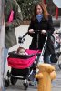 IMG/jpg/alyson-hannigan-family-walking-after-lunch-brentwood-february-6-2010 (...)